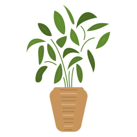 A plant in a ceramic pot. Houseplant, many leaves, spherical crown. Vector, icon, flat, isolatedのイラスト素材