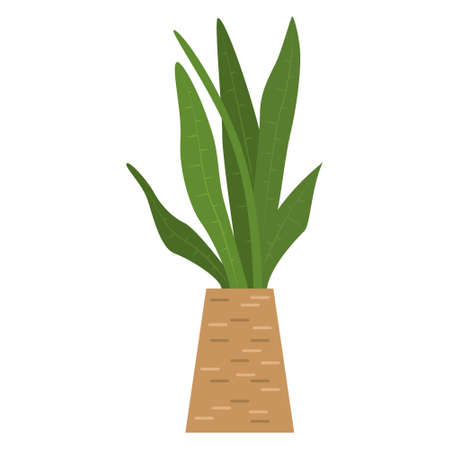 A potted plant. A houseplant with large long narrow leaves. Vector, icon, flat, isolatedのイラスト素材