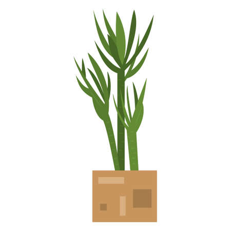 A plant in a square-shaped pot. A houseplant with thick dense leaves. Vector, icon, flat, isolatedのイラスト素材