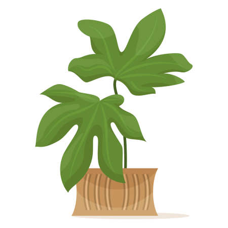 Potted plant for home and office. A houseplant with large green leaves. Ceramic flower pot with decor. Vector icon, cartoon, isolatedのイラスト素材