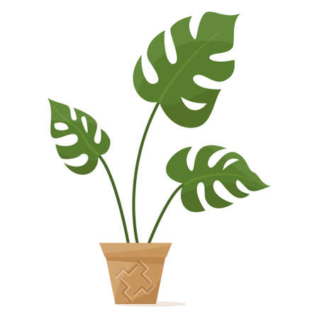 Potted plant for home and office. A houseplant, dense leaves with incisions. Ceramic flower pot with decor. Vector icon, cartoon, isolatedのイラスト素材