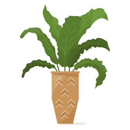 Potted plant for home and office. A houseplant, many leaves, dense bush. Ceramic flower pot with decor. Vector icon, cartoon, isolatedのイラスト素材