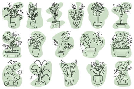 A potted plant. house plant for home and office. Set of vector icons, green abstract background, outline, isolatedのイラスト素材