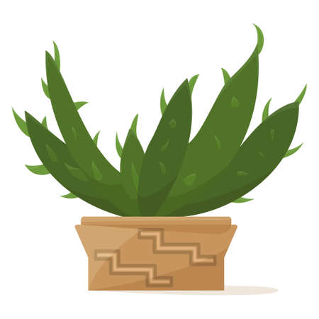 Succulent in a flower pot, a houseplant for home, office, greenhouse. Thick petals with large spikes. Vector icon, color cartoon, complex flat, isolatedのイラスト素材
