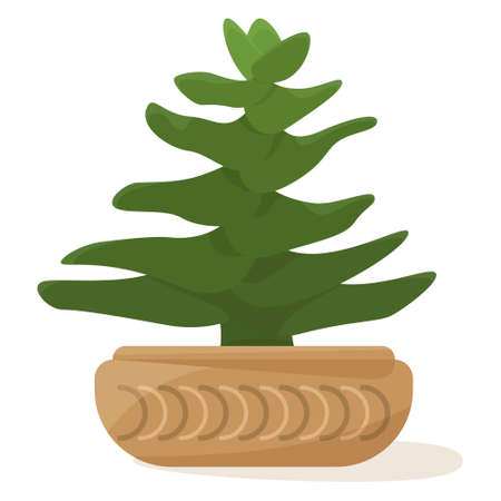 Succulent in a flower pot, a houseplant for home, office, greenhouse. Horizontal thick petals. Vector icon, color cartoon, complex flat, isolatedのイラスト素材
