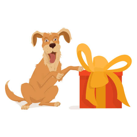 Pet, dog breed golden retriever. A big red box with a gift and a yellow bow with a ribbon. Vector illustration, cartoon isolated on whiteのイラスト素材