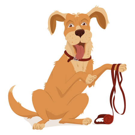 Pet, dog breed golden retriever. A collar, a leash with a tape measure for walking.Vector illustration, cartoon isolated on whiteのイラスト素材