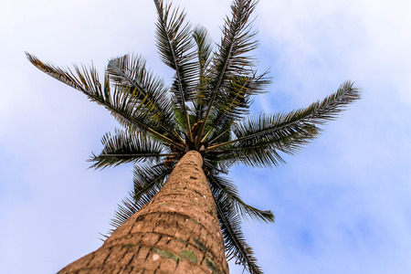 Different Viewの写真素材