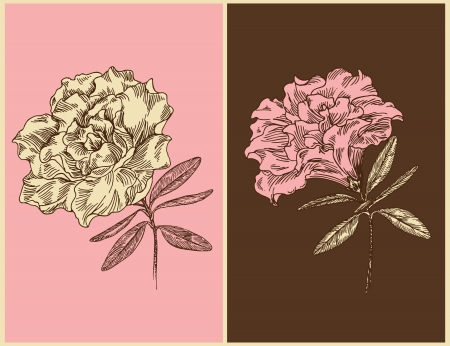 Azaleas. Vintage floral design. Vector illustration.のイラスト素材