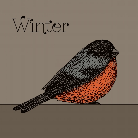 Cute bullfinch bird on a grey background. Vector illustration.のイラスト素材