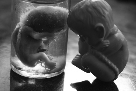 Two creepy human an embryoの写真素材