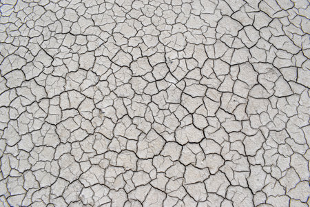 Cracked earth surface displays intricate patterns formed by drought, emphasizing the unique textures...