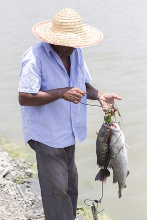 JERLUN KEDAH, MALAYSIA - a fisherman catches fish being adopted.の写真素材
