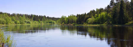 Panorama of a summer landscape with the river and woodの写真素材