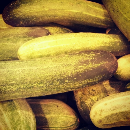 fresh cucumbersの素材