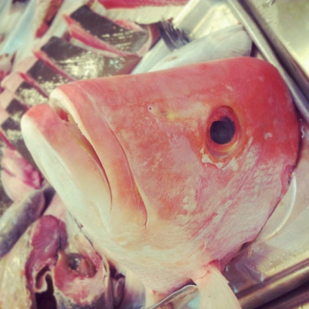 big red head fish