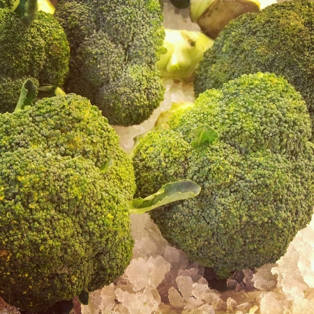 green fresh brocolliの素材
