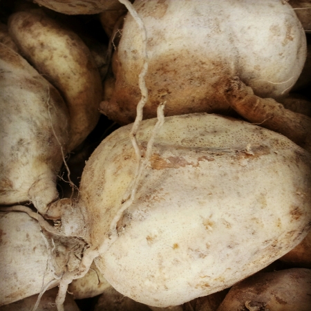 raw sweet potatoesの素材