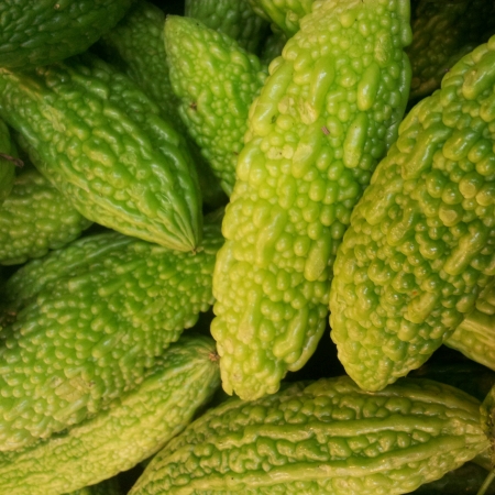 green fresh raw bitter gourdの素材