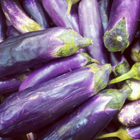 Fresh brinjal eggplantの素材