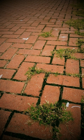 Orange pathway with grassの素材
