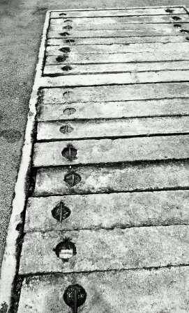 Pathway in black whiteの素材