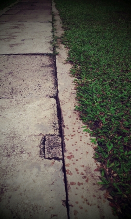 Pathway for walkingの素材