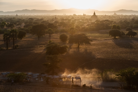Sunset at Bagan pagodas in Myanmarの写真素材