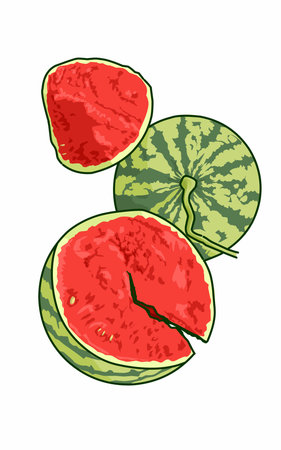 Fresh watermelon fruit issolated on white background. Watermelon slideのイラスト素材