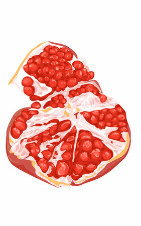 a pomegranate is cut in half and has red seeds. Fresh Sour pomegranateのイラスト素材