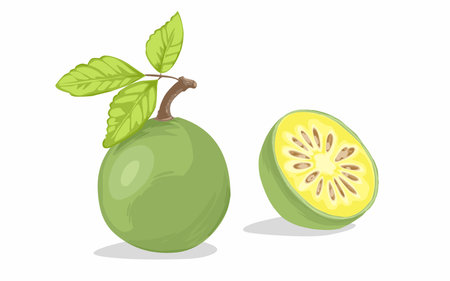a bael fruit with leaves and a half sliced issolated on white