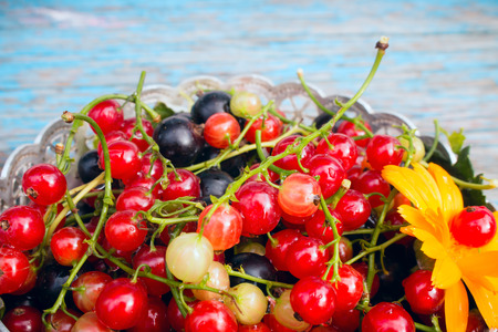red and black currants with leaves in a bowl on a wooden backgroundの写真素材