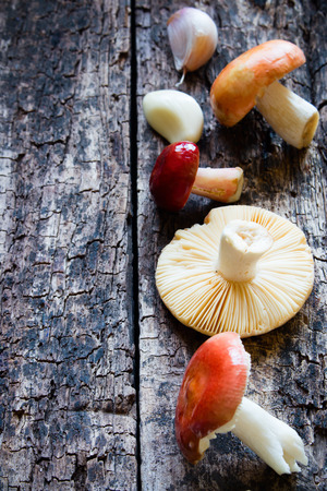 mushrooms on a wooden background selective focusの写真素材
