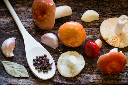 raw mushrooms, spoon with spices, bay leaf, garlicの写真素材