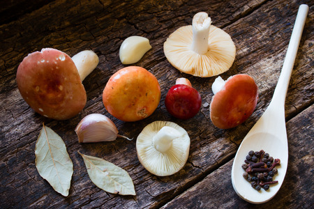 raw mushrooms, spices, seasonings, bay leaf, garlicの写真素材