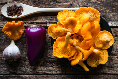 chanterelle mushrooms, garlic, pepper and a spoon with condimentsの写真素材
