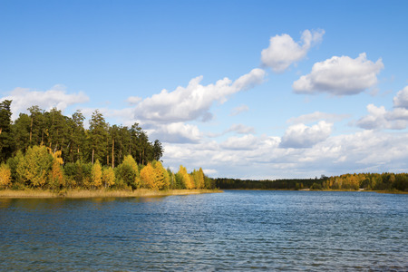 landscape autumnal forest near the lakeの写真素材