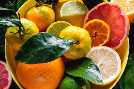 plate with citruses oranges, mandarins, grapefruit and lime close-upの写真素材