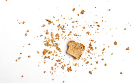 scattered crumbs of roasted white bread on a white background closeupの素材