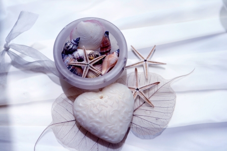 Onyx Bowl with shells, star fish, heart shaped soap and skeleton leaf の写真素材