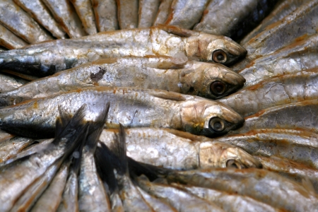 Smoked sardines in a round box on a market stand