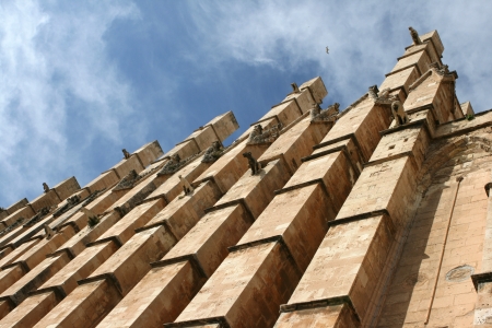 Palma cathedral La Sueの写真素材
