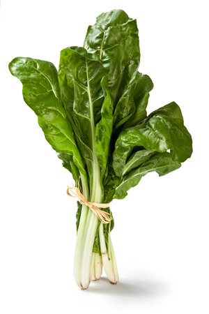 Fresh chard leaves isolated on white background Swiss chard Beta vulgarisの写真素材