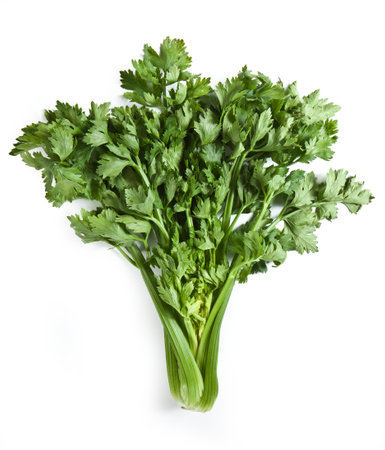 Fresh Celery steam closeup isolated on white background Celery Apium graveolensの写真素材