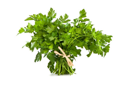 Parsley - âParsleyâ isolated on white background - Italian Foodの写真素材
