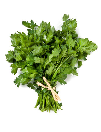 Parsley - âParsleyâ isolated on white backgroundの写真素材