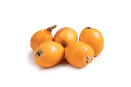 Medlar Fruit, Bunch of Loquats Isolated on White Background - Group of Japanese Orange Fruit Medlars, Exotic, Juicy Sweet Plums, Fresh Harvest Group - Close-Up Macro, High Resolutionの写真素材