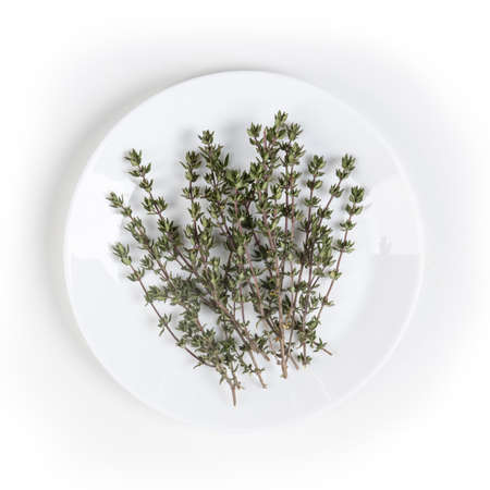 Thyme - Heap, Group of Branches on a Glossy White Ceramic Plate, with Shadow and Reflection - Macro Close Up, Top View - Isolated on White Backgroundの写真素材