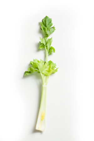 Celery - "Celery Stick" Isolated on White Backgroundの写真素材