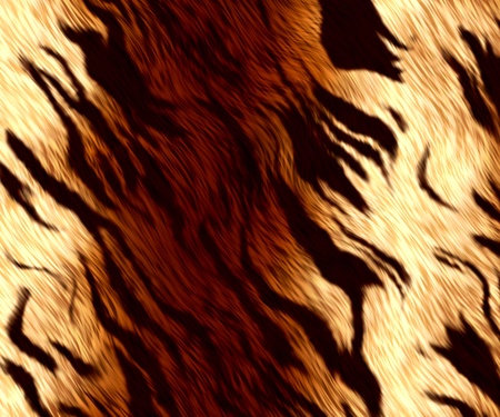 tiger fur
